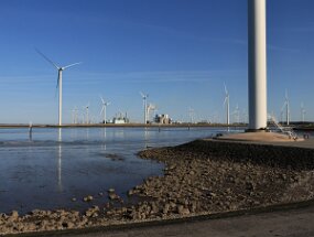IMG_9205 null