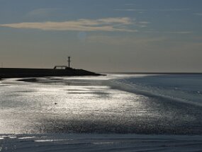 IMG_9224 null
