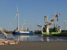 IMG_9232 null