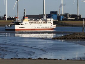 IMG_9253 null