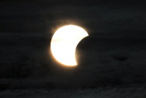 IMG_9295 null