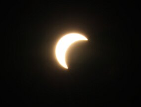 IMG_9322 null