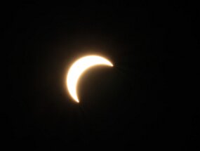 IMG_9334 null