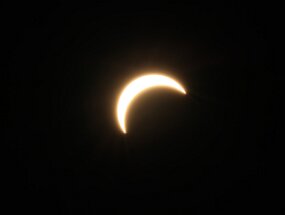IMG_9337 null
