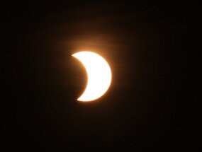 IMG_9429 null