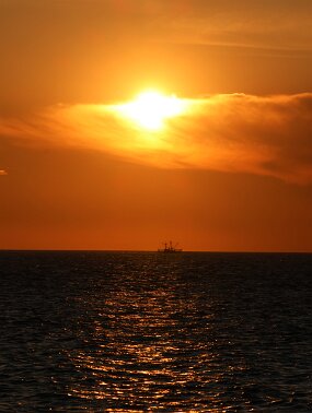 IMG_9464 null