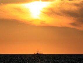 IMG_9475 null