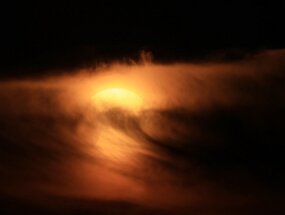 IMG_9478 null