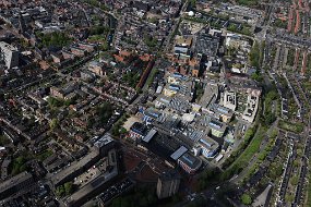 IMG_3524